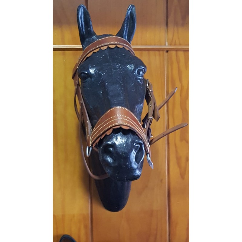 Harry's Horse doma clasica sillín cinturón neopreno liso marrón
